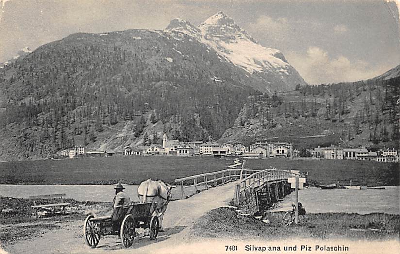 Silvaplana, und Piz Polaschin