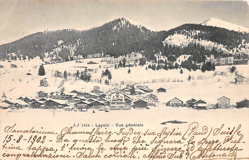 Leysin, Vue générale