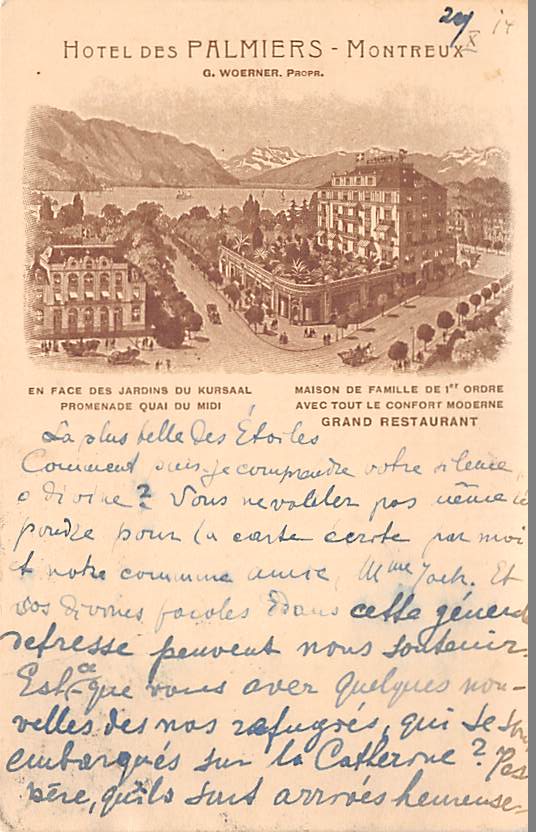 Montreux, Hotel des Palmiers