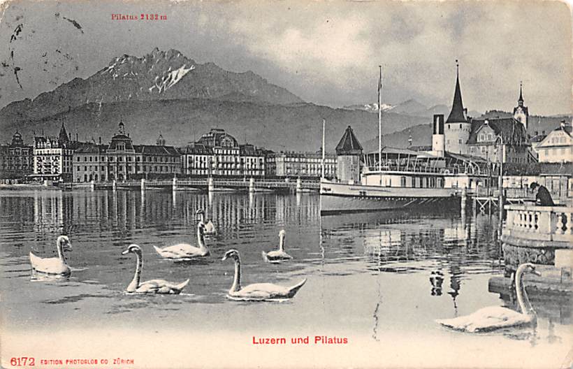 Luzern, Pilatus, Schwäne