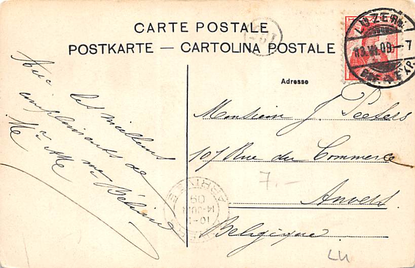 Luzern, Pilatus, Schwäne