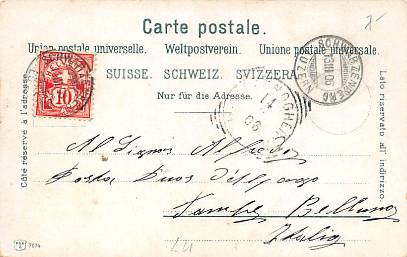 Schwarzenberg, Alp, Kühe