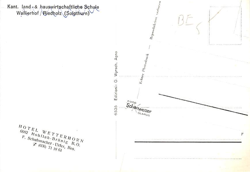Hohfluh-Brünig, Hotel Wetterhorn