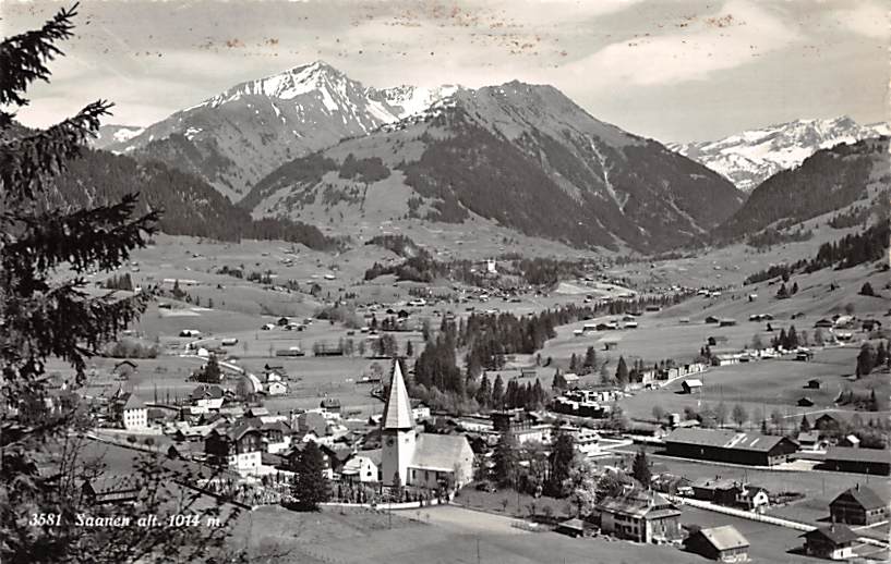 Saanen