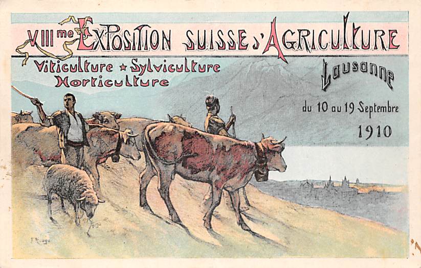 Lausanne, Exposition Agriculture 1910, Kühe, Schafe