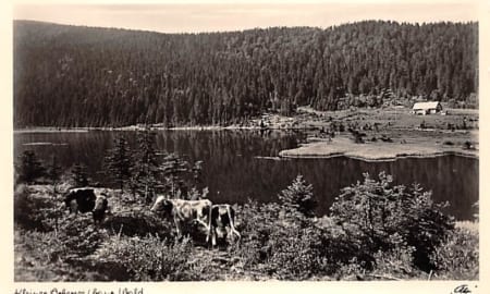 Bayr. Wald, Kleiner Arbersee