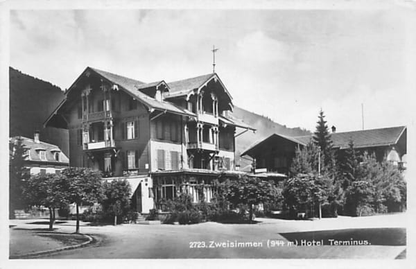 Zweisimmen, Hotel Terminus