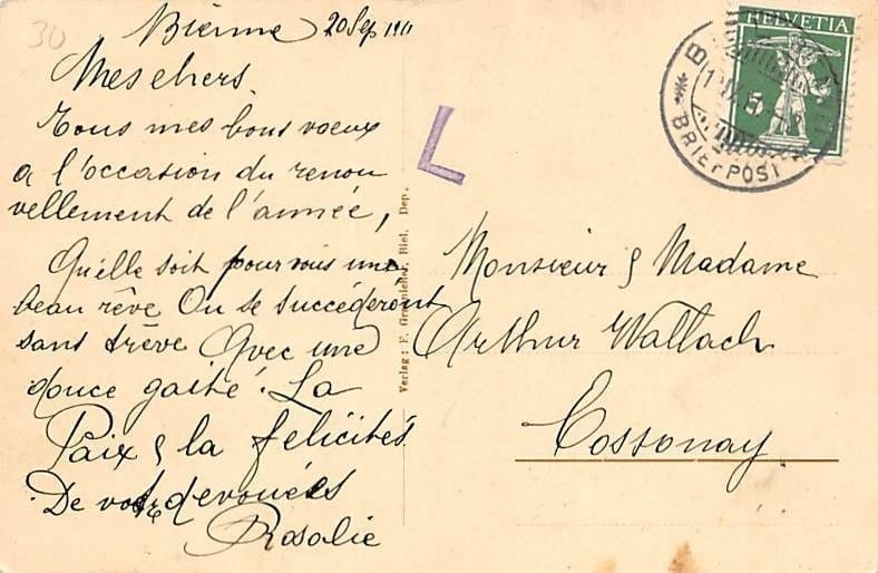 Biel-Bienne, Partie im Pasquart