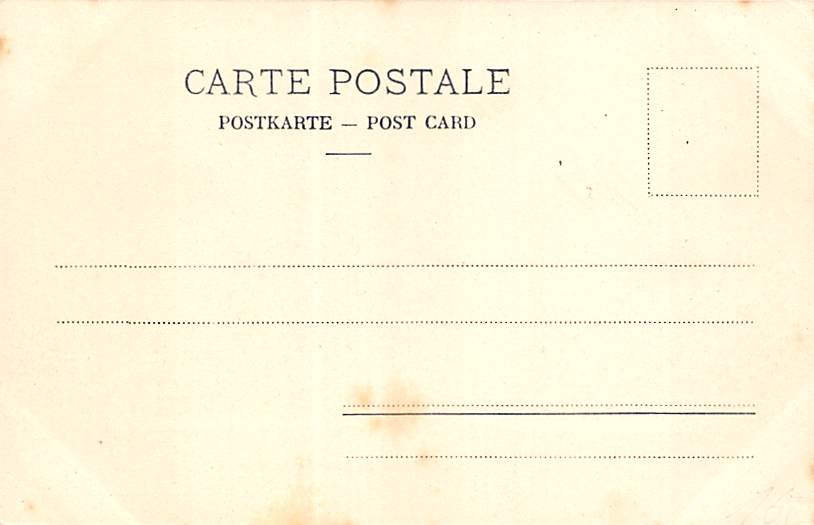 Nidau, Le Chateau de Nidau