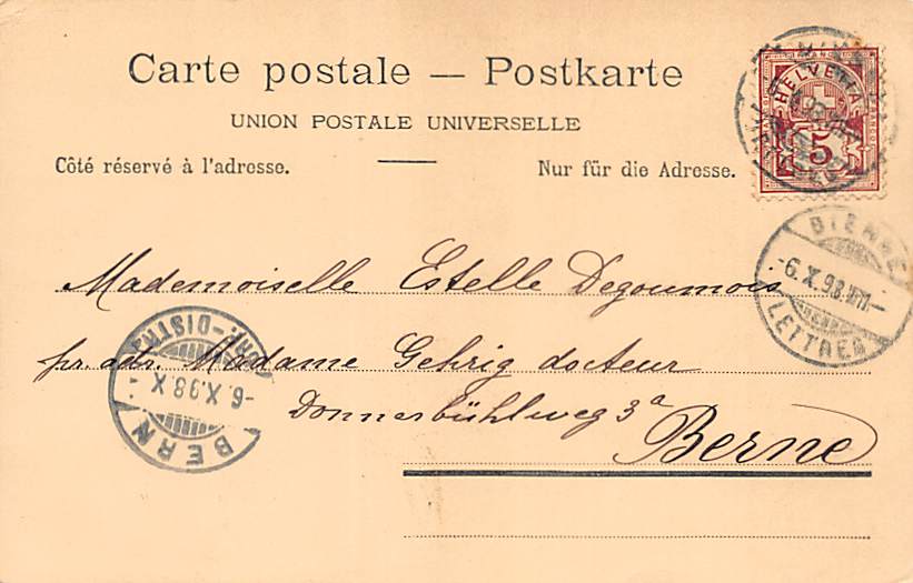 Nidau, Chateau de Nidau