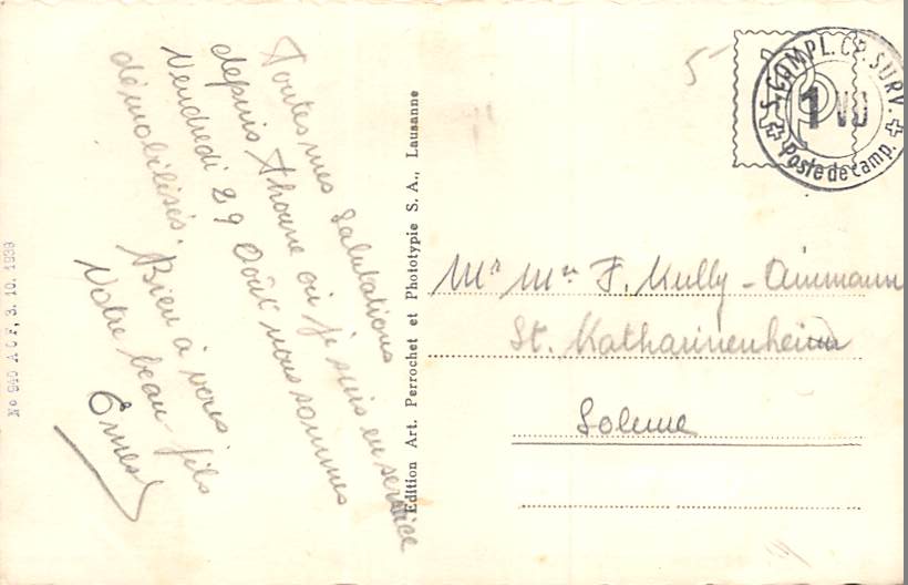 Thun, Schloss Thun gegen Westen