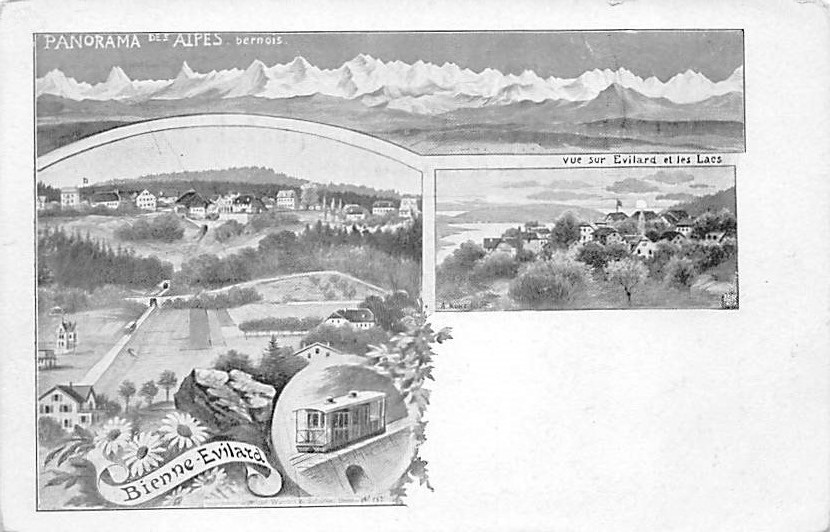 Evilard, Panorama des Alpes