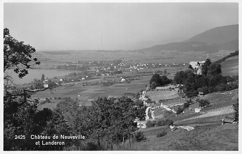 La Neuveville, Chateau