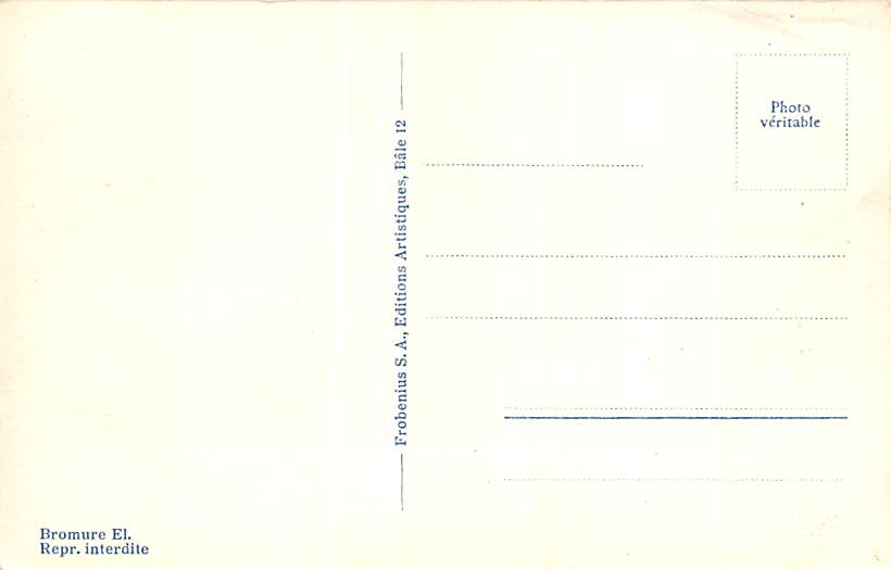 La Neuveville, Chateau