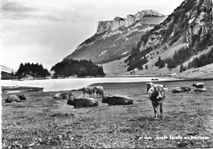 Seealpsee, Gasthaus Forelle