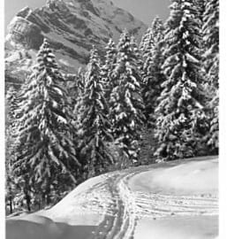 Winter auf Braunwald