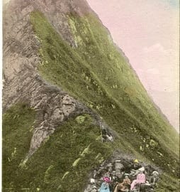 Cape de Moine, belebt