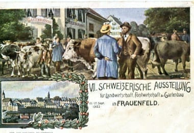 Frauenfeld, VII Schweiz. Ausstellung Land-, Forstwirtschaft