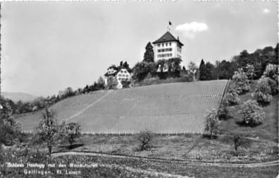 Gelfingen, Schloss Heidegg mit den Weinkulturen