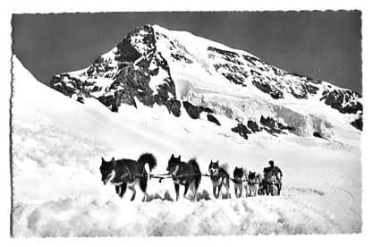 Jungfraujoch, Polarhunde mit Mönch