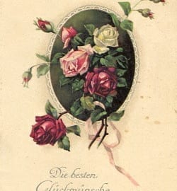 Geburtstag, Rosen