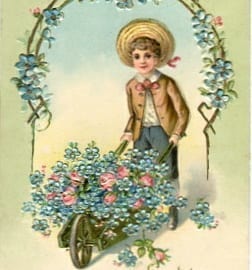 Namenstag, Knabe, Schubkarre, Blumen, Prägedruck