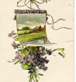 Veilchen, Auszug Landschaft