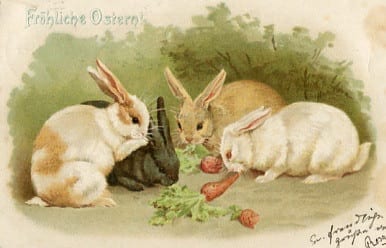 Ostern, Hasen, Karotten