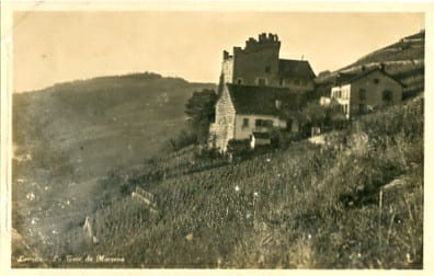 Lavaux, La Tour de Morsens