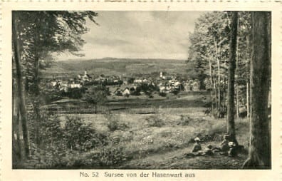 Sursee, von der Hasenwart aus