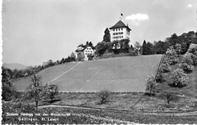 Gelfingen, Schloss Heidegg mit Weinkulturen