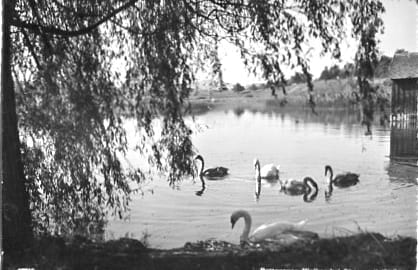 Oberuzwil, Bettenauer Weiher