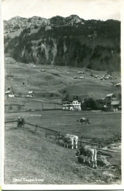 Stein, Toggenburg