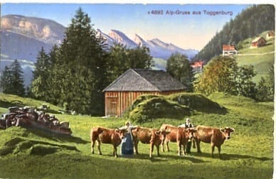 Alp-Gruss aus Toggenburg, Kühe