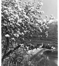 Ascona, Photo Pancaldi