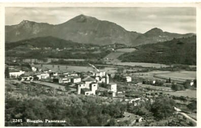 Bioggio, Panorama