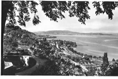 Salenstein, Schloss Arenaberg