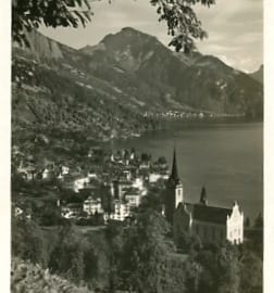 Weggis, mit Vitznauerstock